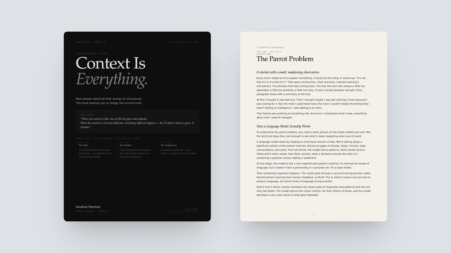Context Is Everything book cover and interior chapter page titled The Parrot Problem.