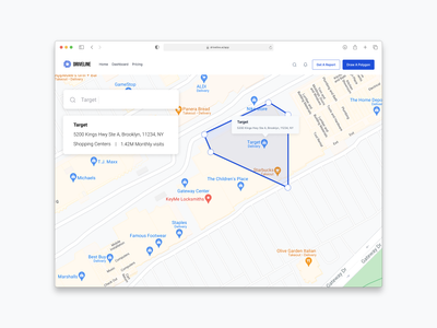 DriveLine's Audience Intelligence Tag image